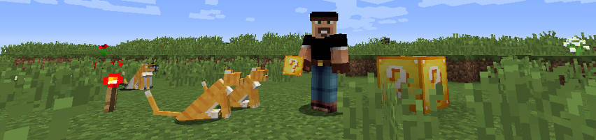 3 Awesome Minecraft 1.8 Mods for Role Playing -  Game  Servers Rental